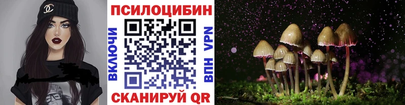 Псилоцибиновые грибы прущие грибы  Новоалтайск 